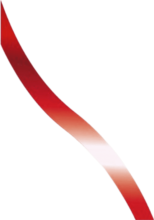 ribon